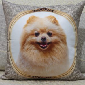 Capa Almofada 45x45cm - Lulu da Pomerâne1